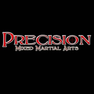 Precision MMA in LaGrange, NY