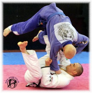 BJJ at Poughkeepsie Martial Arts