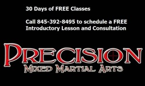 Kickboxing in Dutchess County Free 30 Days!